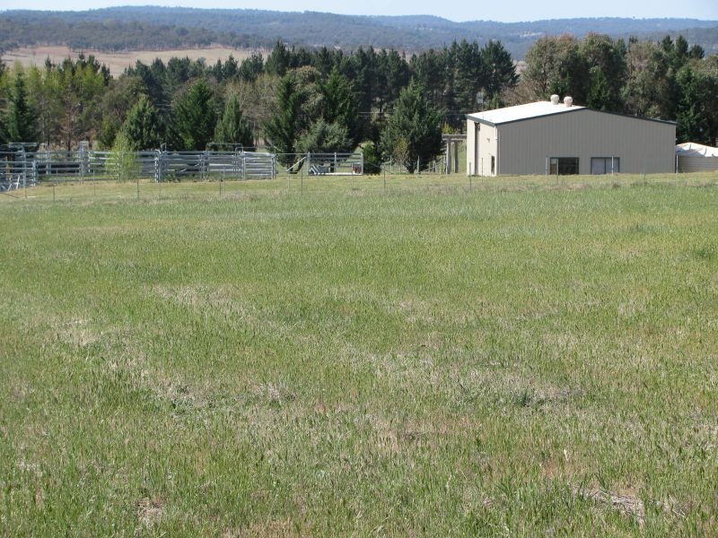 88 Hanlan Road, Armidale NSW 2350