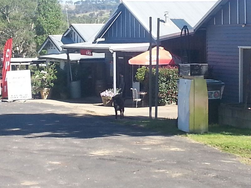 110 Wollomombi Village Road, Wollomombi NSW 2350