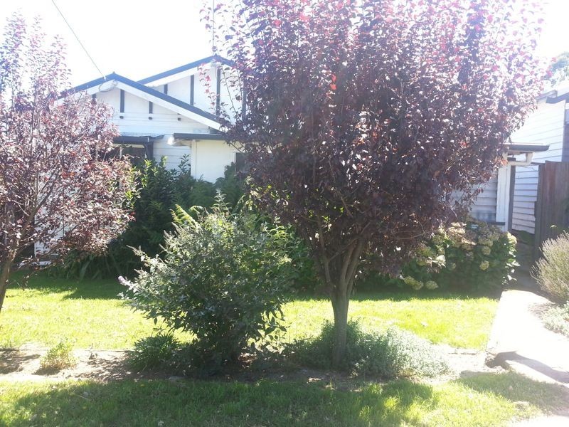 110 Wollomombi Village Road, Wollomombi NSW 2350