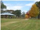 3339 Niangala Road, Walcha NSW 2354