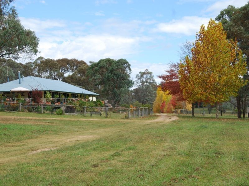 3339 Niangala Road, Walcha NSW 2354