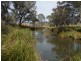 3339 Niangala Road, Walcha NSW 2354