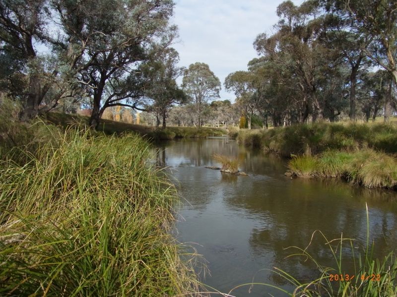 3339 Niangala Road, Walcha NSW 2354