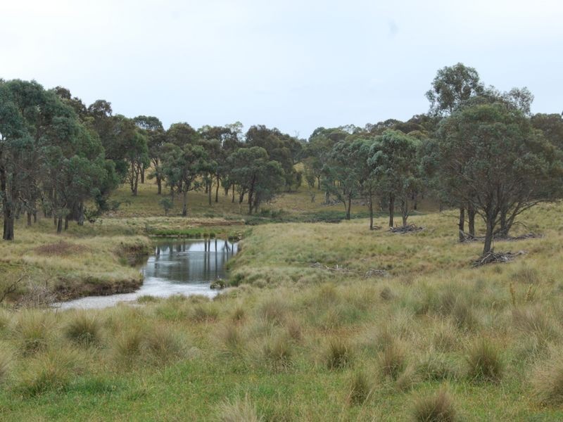 3339 Niangala Road, Walcha NSW 2354