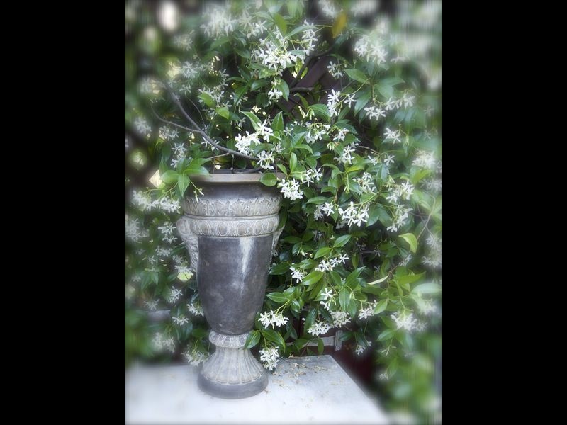 3 Dorothy Avenue, Armidale NSW 2350