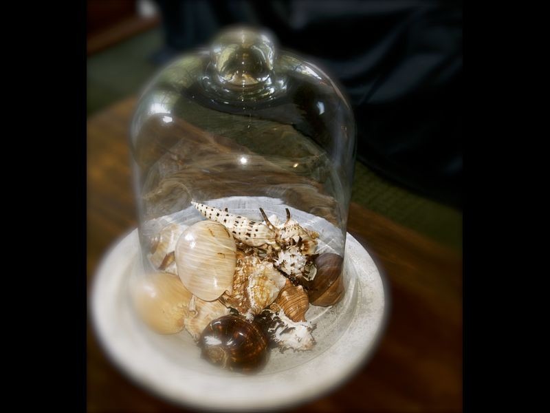 3 Dorothy Avenue, Armidale NSW 2350