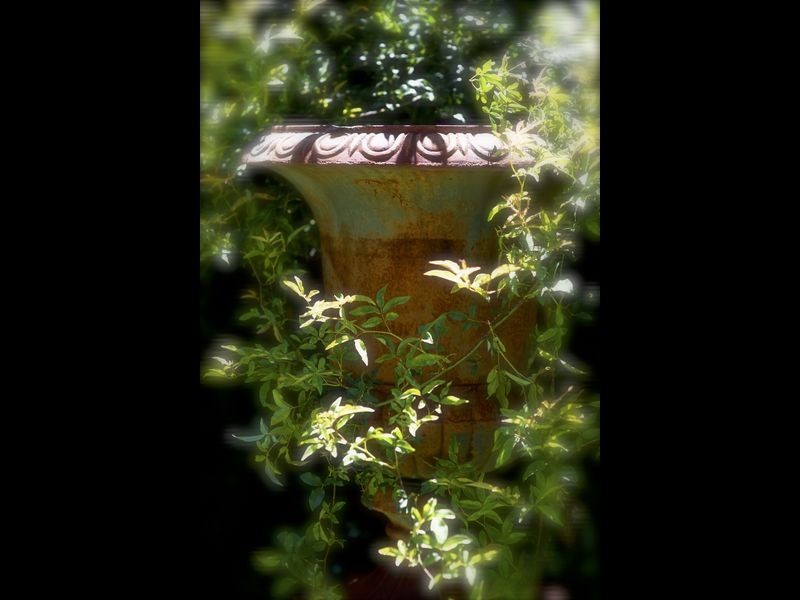 3 Dorothy Avenue, Armidale NSW 2350