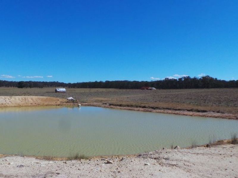 7168 New England highway, Armidale NSW 2350