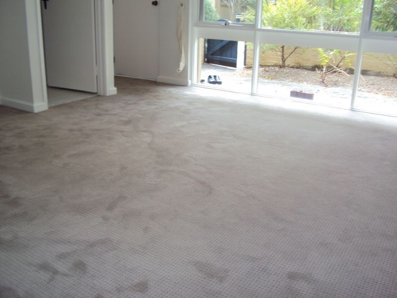 14/5-17 High Street, Manly NSW 2095