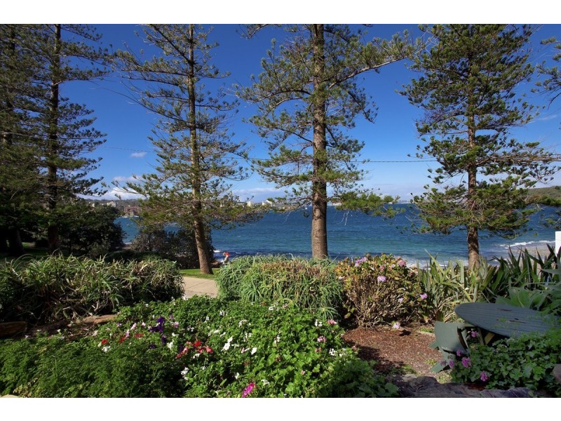 1/41 The Crescent, Manly NSW 2095