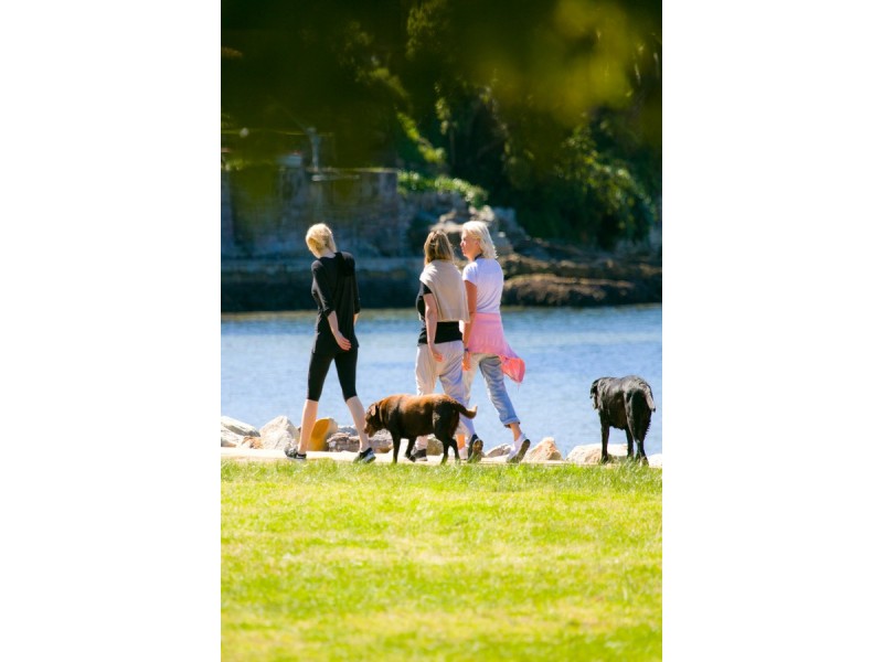 125A West Street, Balgowlah NSW 2093