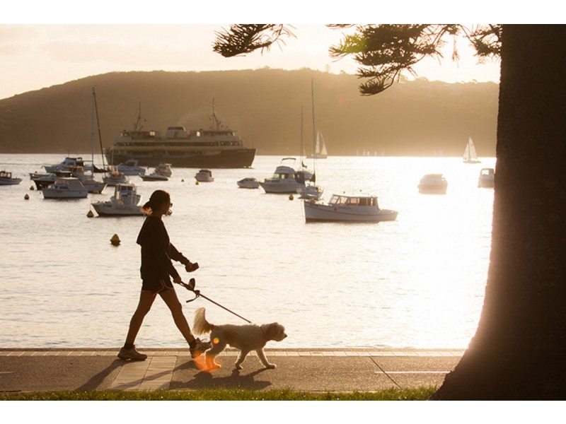 1/40 Ashburner Street, Manly NSW 2095