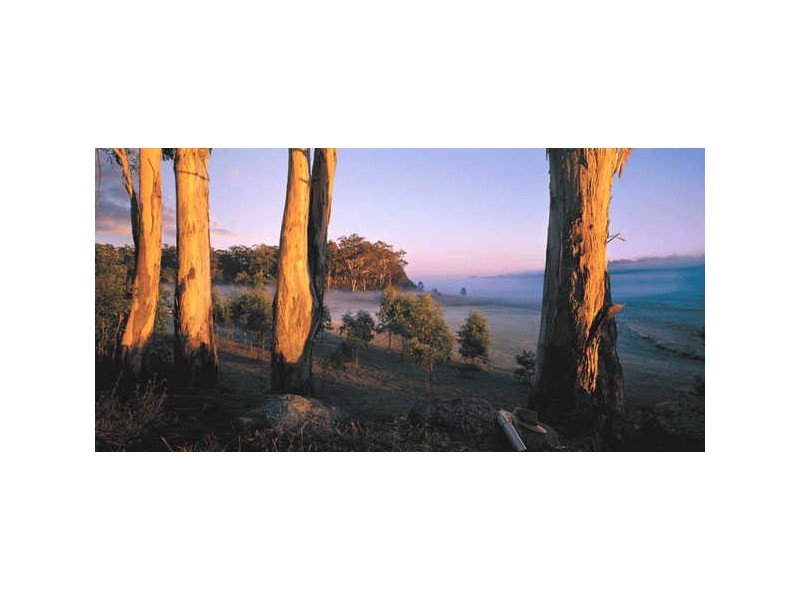 Wisemans Ferry Road, Cattai NSW 2756