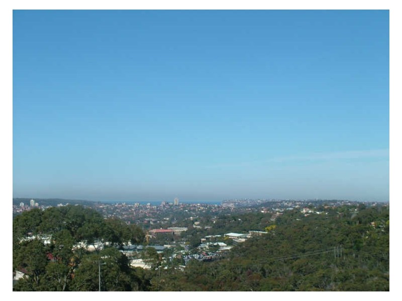 41A Mary Street, Beacon Hill NSW 2100