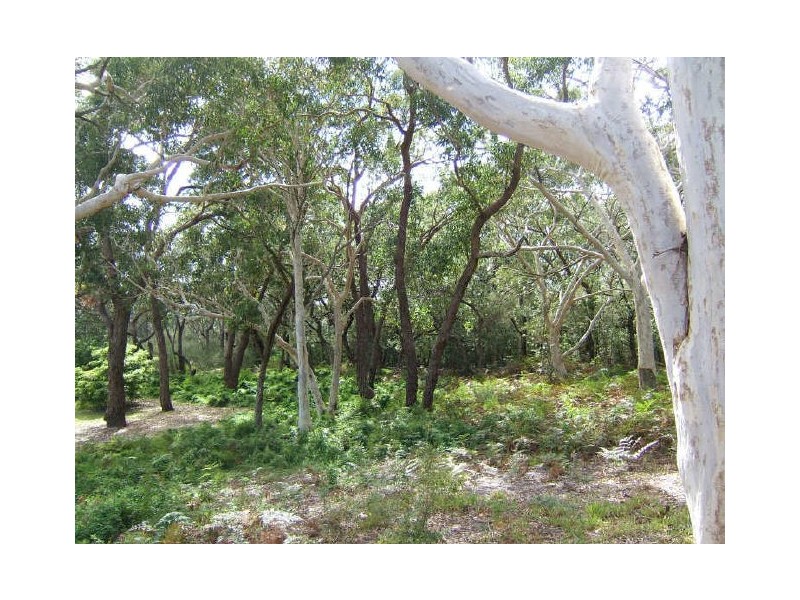 76 Roskell Road, Callala Beach NSW 2540