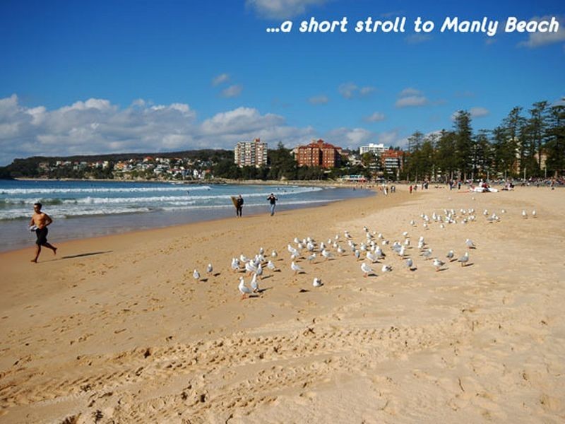 2/9 Griffin Street, Manly NSW 2095