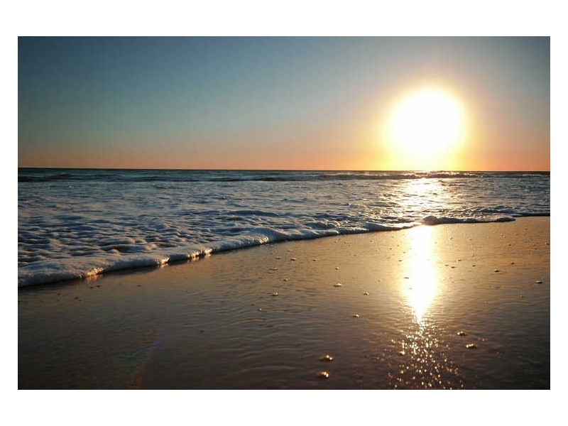 1136 Pittwater Road, Collaroy NSW 2097