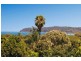 31 Pitt Road, North Curl Curl NSW 2099