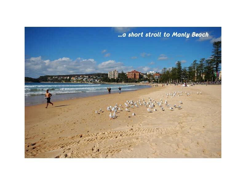 9/48 Collingwood Street, Manly NSW 2095