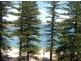 1/81 West Esplanade, Manly NSW 2095