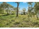133 Sunshine Parade, Sunshine NSW 2264
