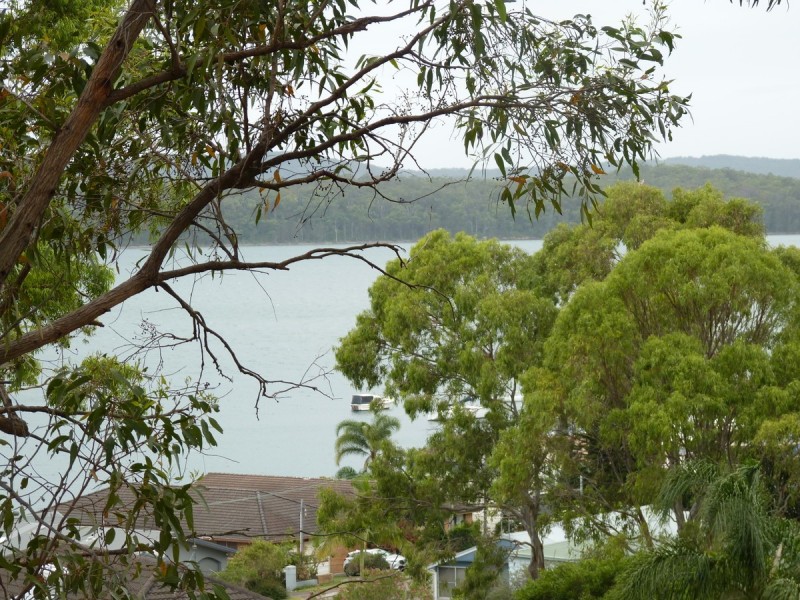 31A Cessnock Road, Sunshine NSW 2264