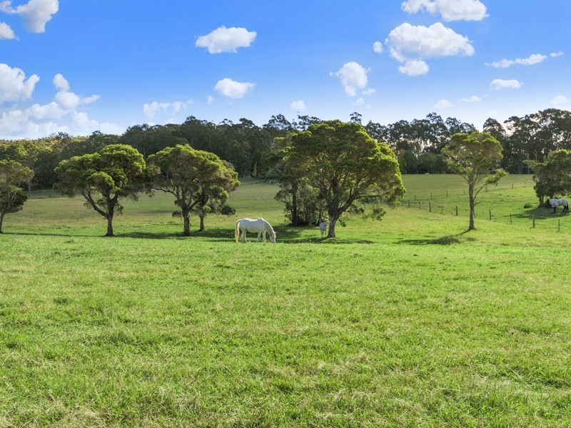 189 Martinsville Road, Martinsville NSW 2265