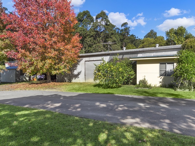 189 Martinsville Road, Martinsville NSW 2265