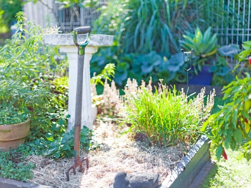 29 Baldwin Boulevard, Windermere Park NSW 2264