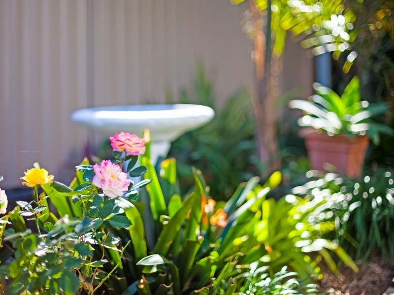 29 Baldwin Boulevard, Windermere Park NSW 2264