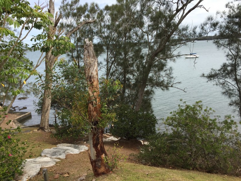 28 Henry Road, Morisset Park NSW 2264