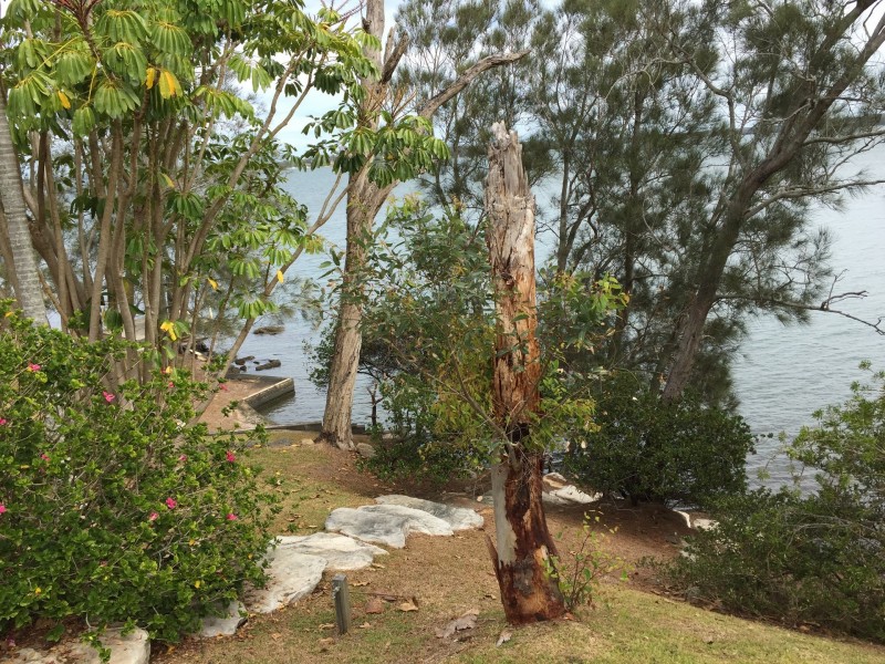 28 Henry Road, Morisset Park NSW 2264