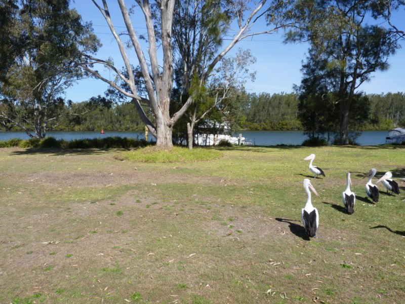 148 Dora Street, Dora Creek NSW 2264