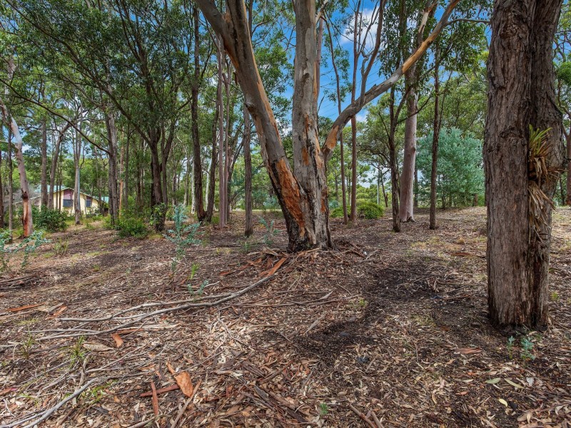 51 Hillcrest Road, Mirrabooka NSW 2264