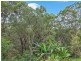 51 Hillcrest Road, Mirrabooka NSW 2264