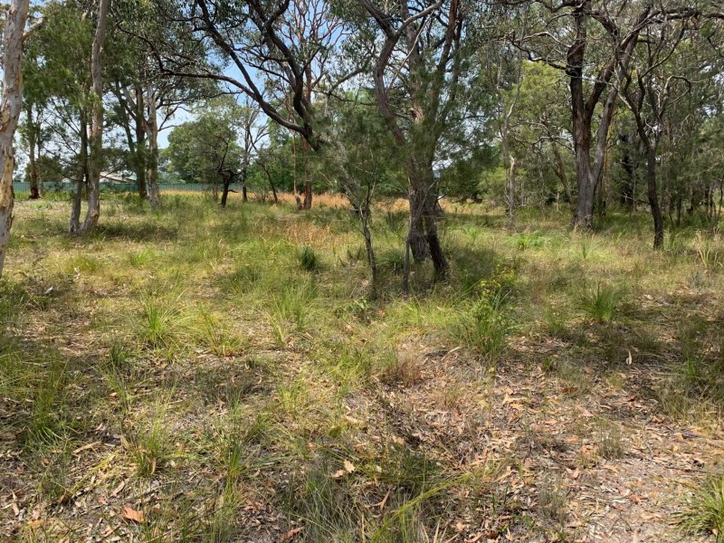 14 Skye Street, Morisset NSW 2264