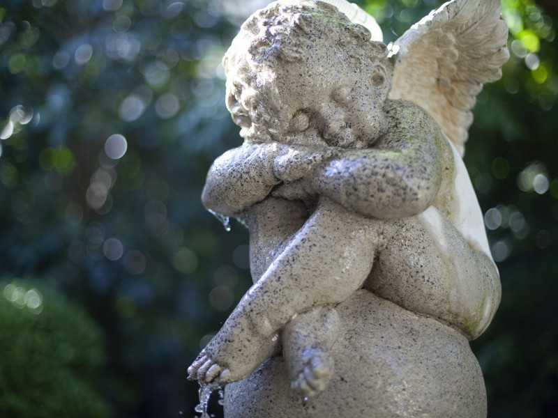 21 Sabrina Place, Cooranbong NSW 2265