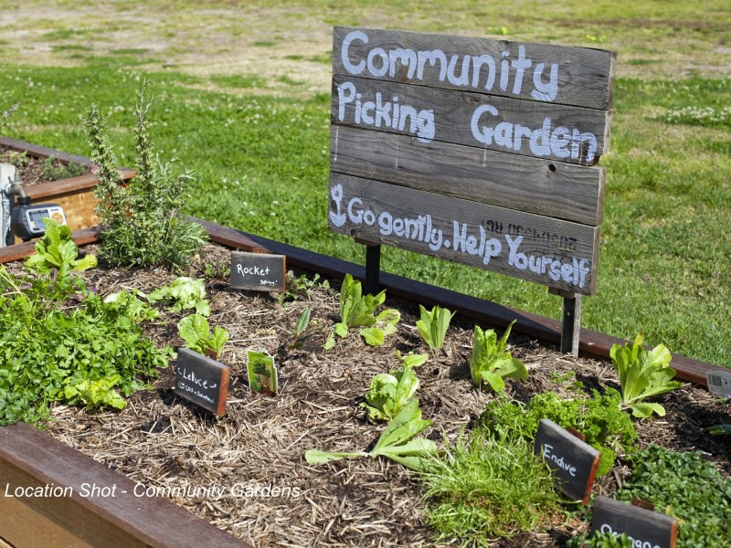 6 Shipwright Street, Cooranbong NSW 2265