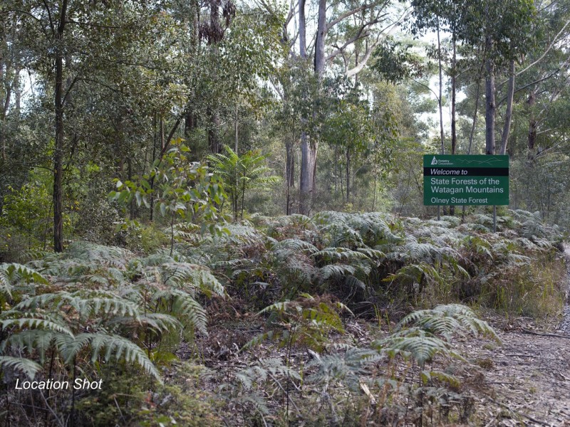 6 Shipwright Street, Cooranbong NSW 2265