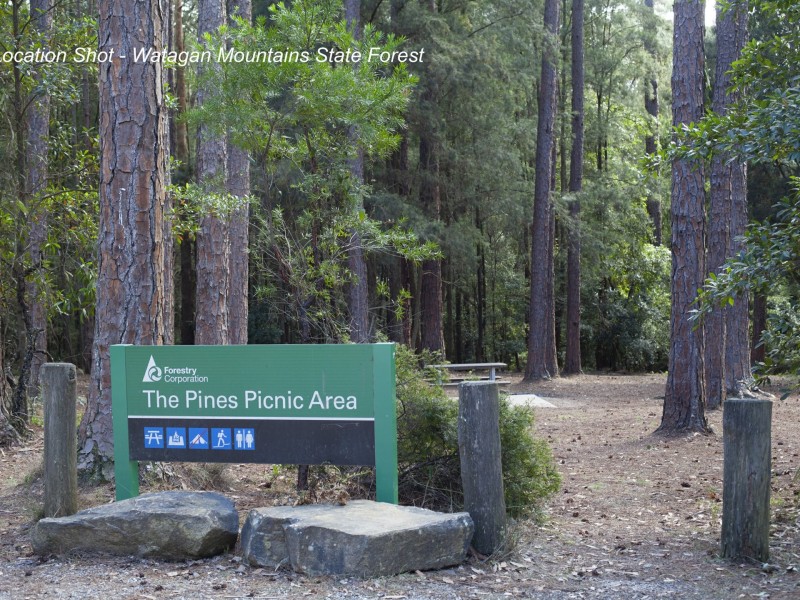 6 Shipwright Street, Cooranbong NSW 2265