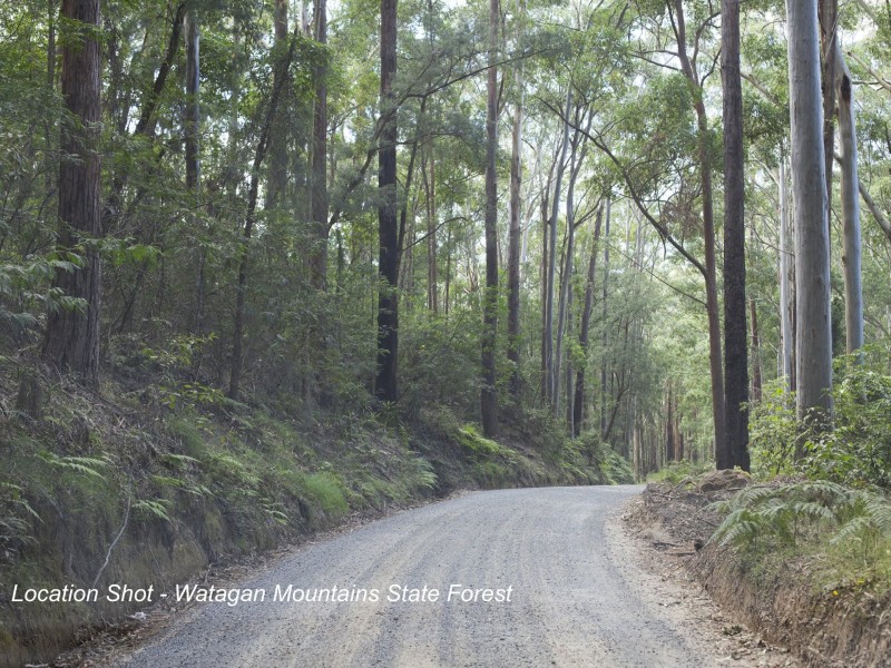 6 Shipwright Street, Cooranbong NSW 2265