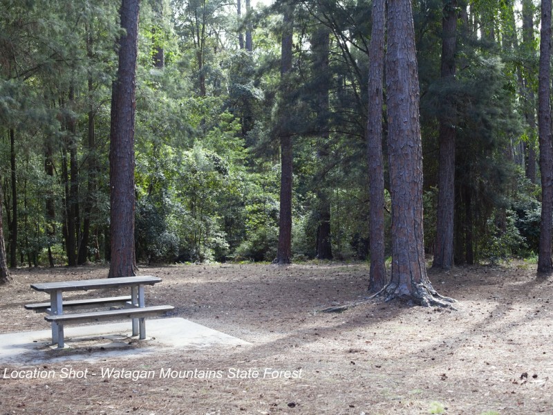 6 Shipwright Street, Cooranbong NSW 2265