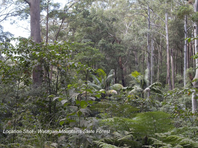 6 Shipwright Street, Cooranbong NSW 2265