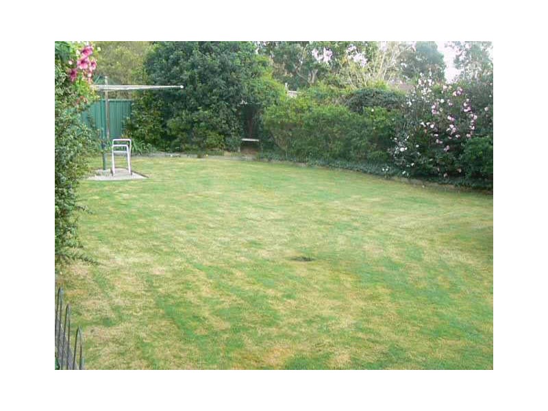 43 Waikiki Road, Bonnells Bay NSW 2264