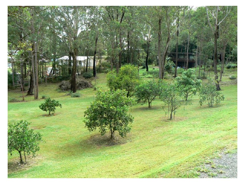 244 Currans Road, Cooranbong NSW 2265