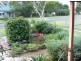 Morisset NSW 2264