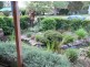 Morisset NSW 2264
