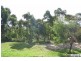 31 Riesling Road, Bonnells Bay NSW 2264