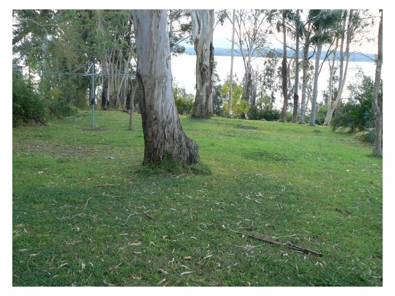 13 King Street, Balcolyn NSW 2264