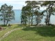 199 Dandaraga Road, Mirrabooka NSW 2264